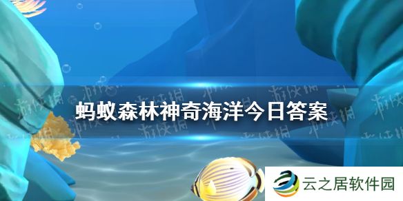 哪个藻类能在开阔水域上自主生长 神奇海洋12月31日答案最新